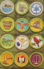 scout merit badges