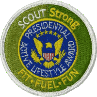 ScoutStrong PALA Award