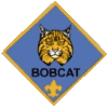 Bobcat Cub Scout Uniform