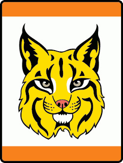 Tiger Bobcat Adventure