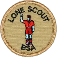 Scout from Home